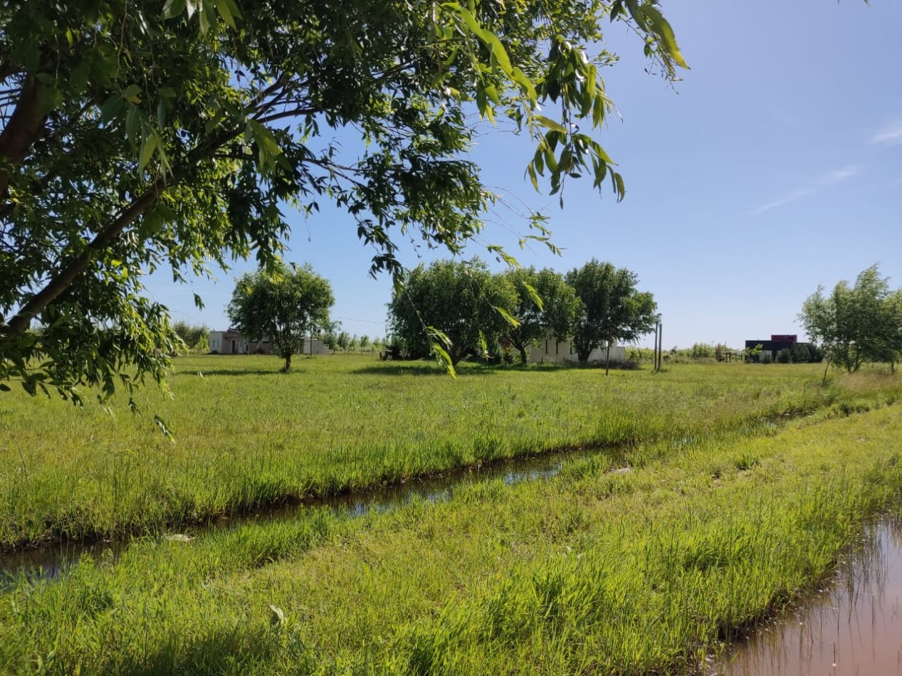 Lote Km 314 Barrio cerrado
