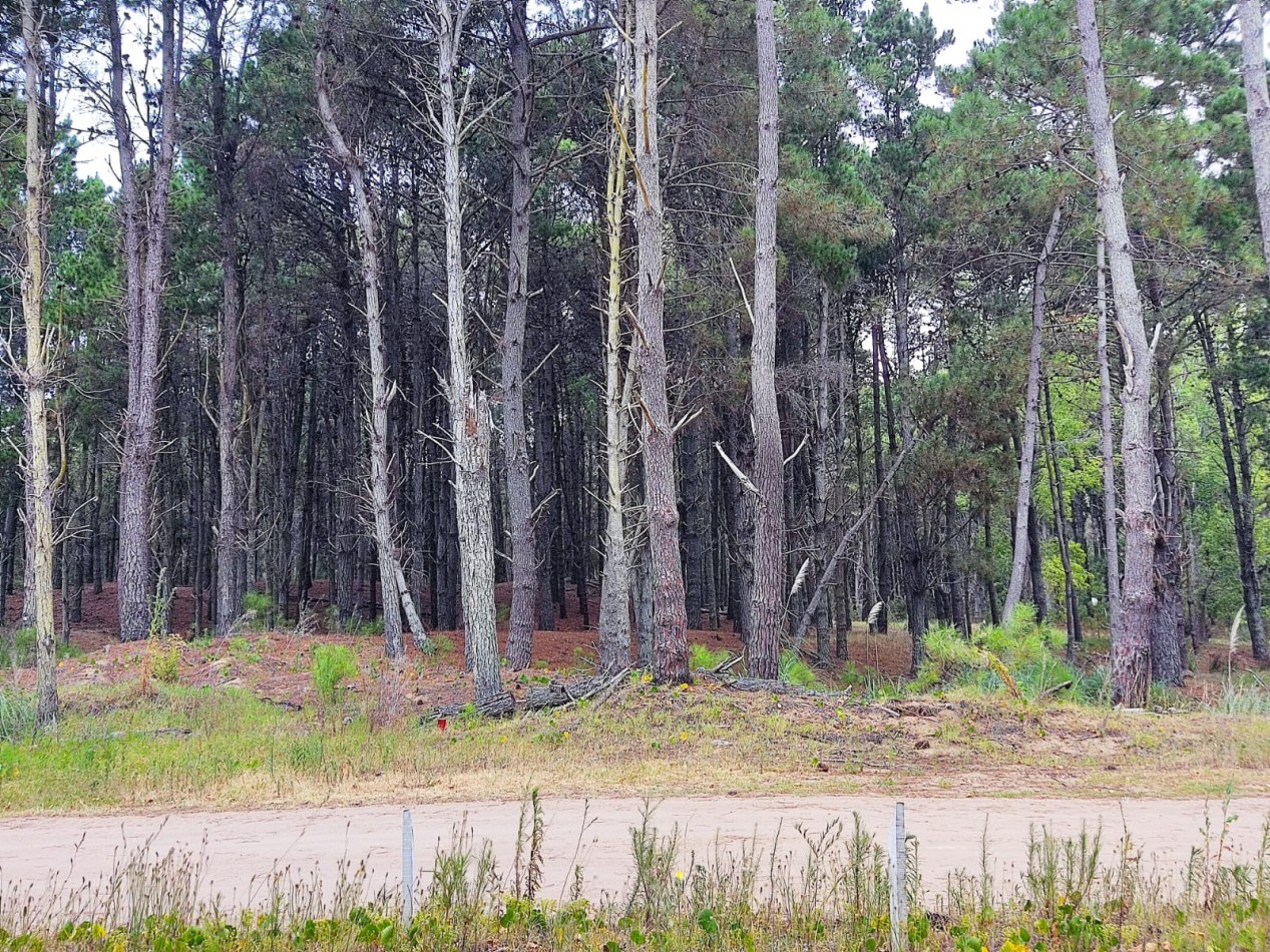 Venta lote Villarobles cerca de Costa Esmeralda