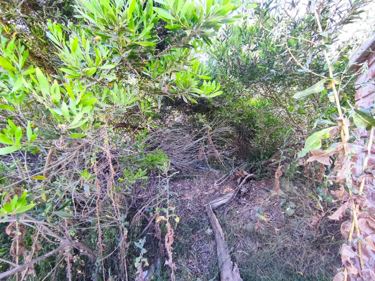 LOTE EN VENTA EN COSTA ESMERALDA SENDEROS 2 FONDO LIBRE