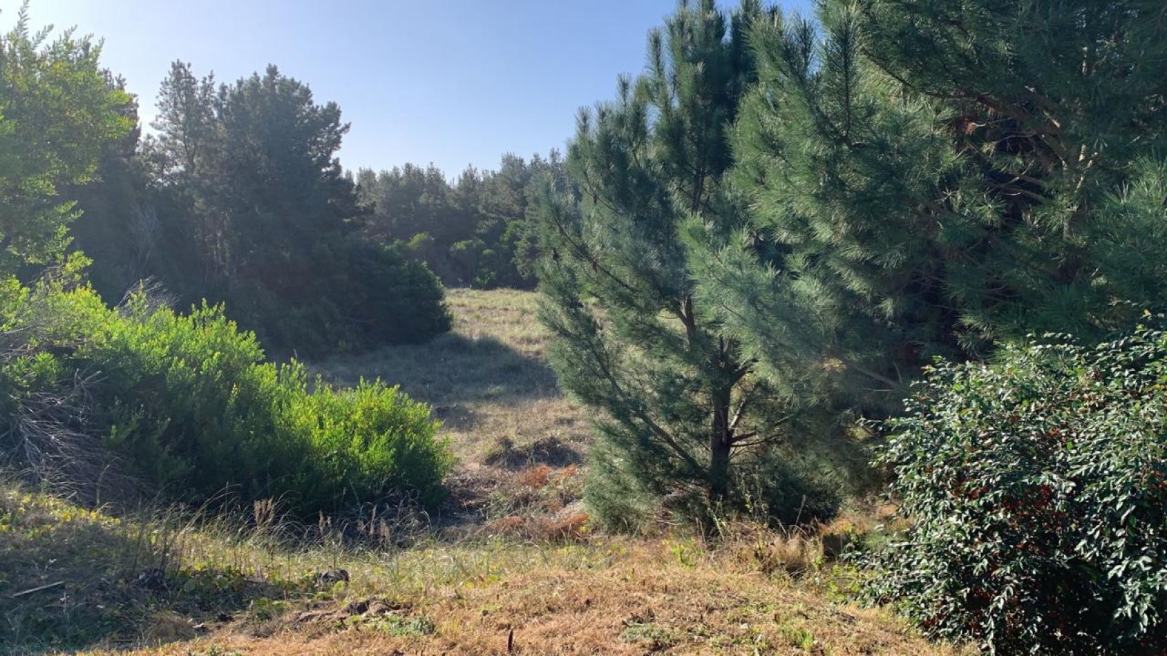 LOTE EN VENTA EN COSTA ESMERALDA SENDEROS 2 FONDO LIBRE