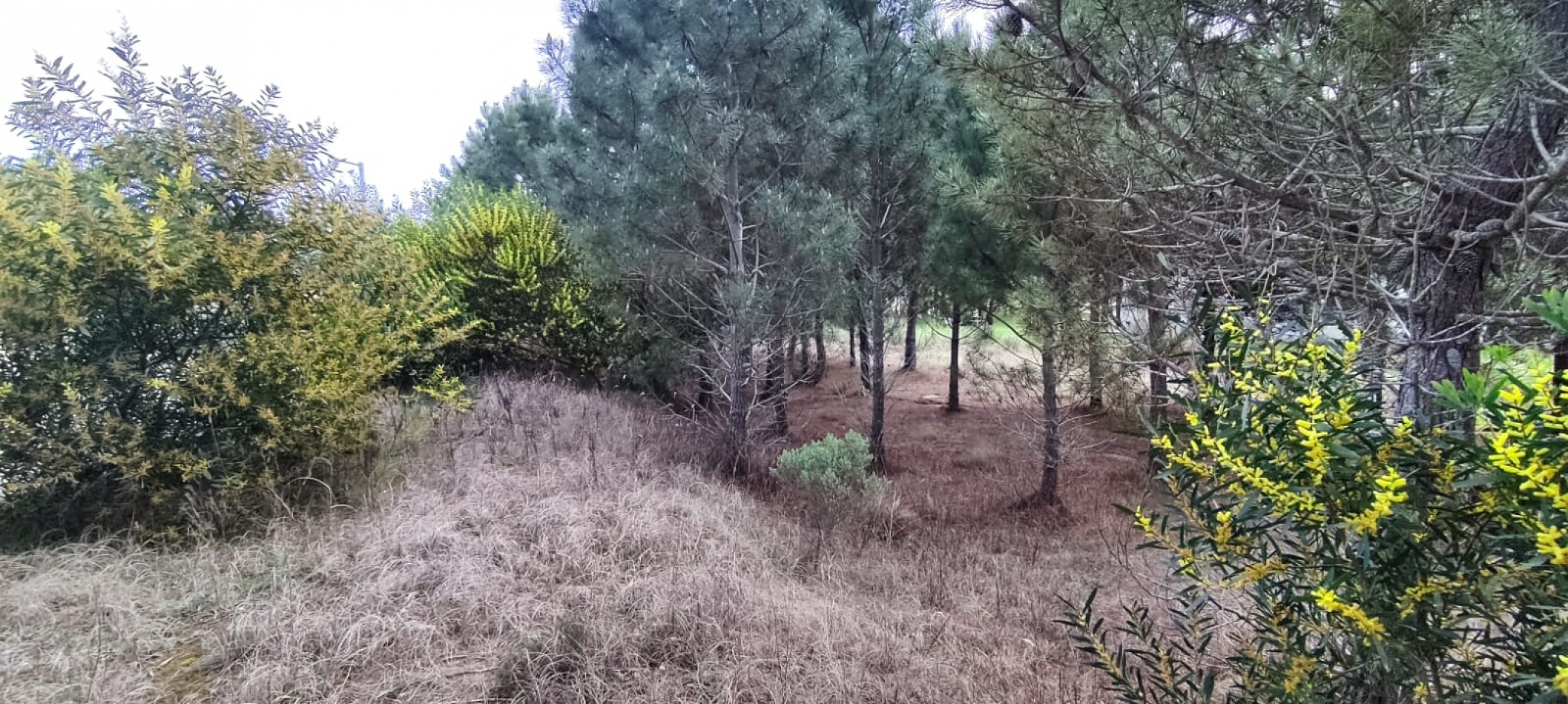 Lote en venta en golf 2 oportunidad financia 