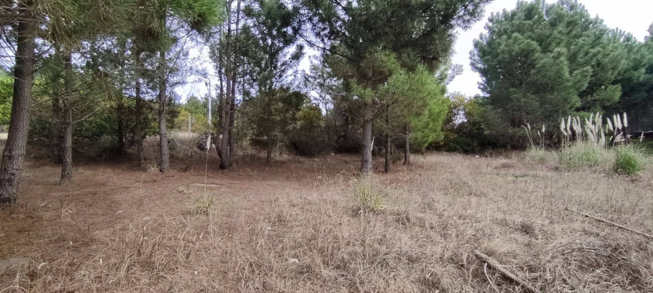Lote en venta en golf 2 oportunidad financia 