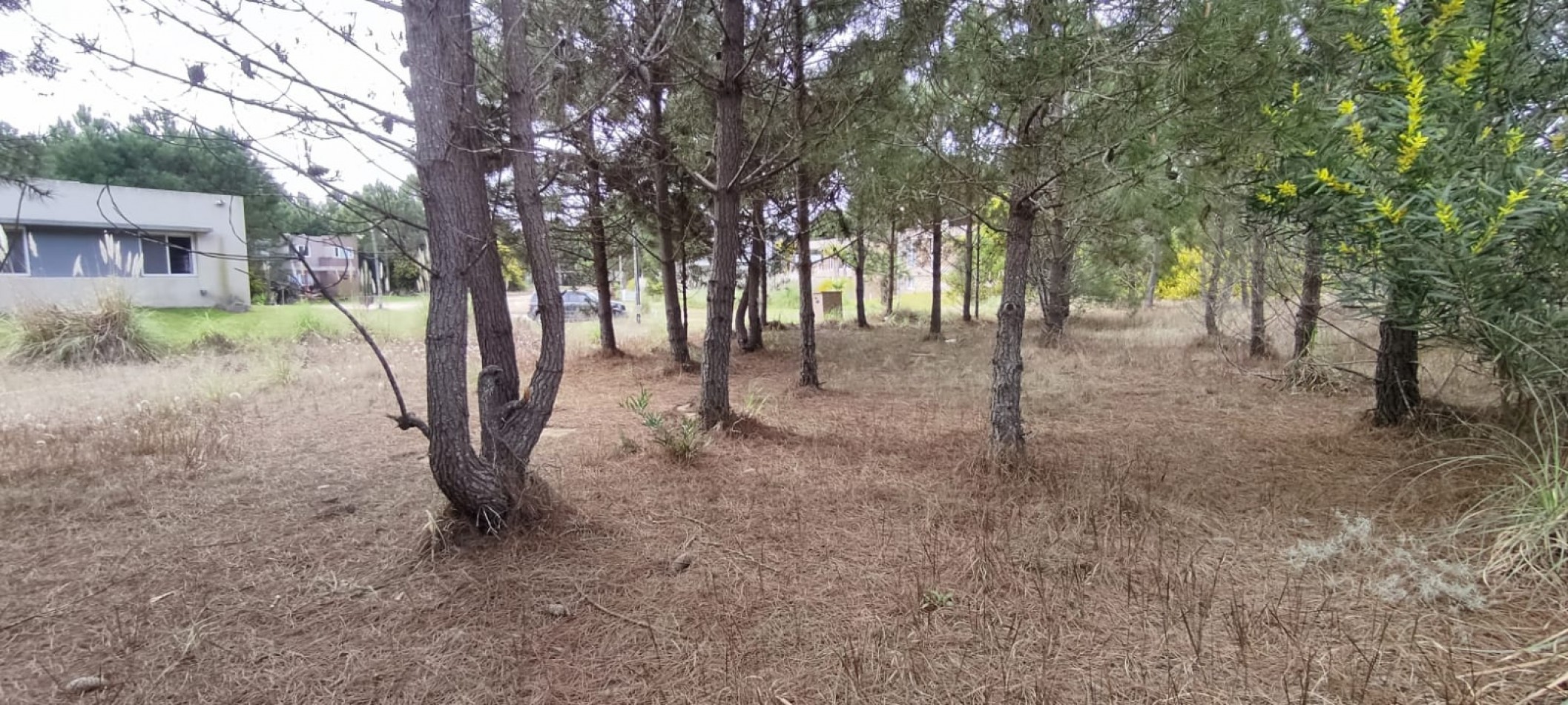 Lote en venta en golf 2 oportunidad financia 