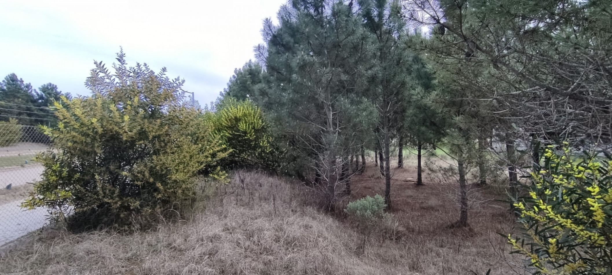 Lote en venta en golf 2 oportunidad financia 