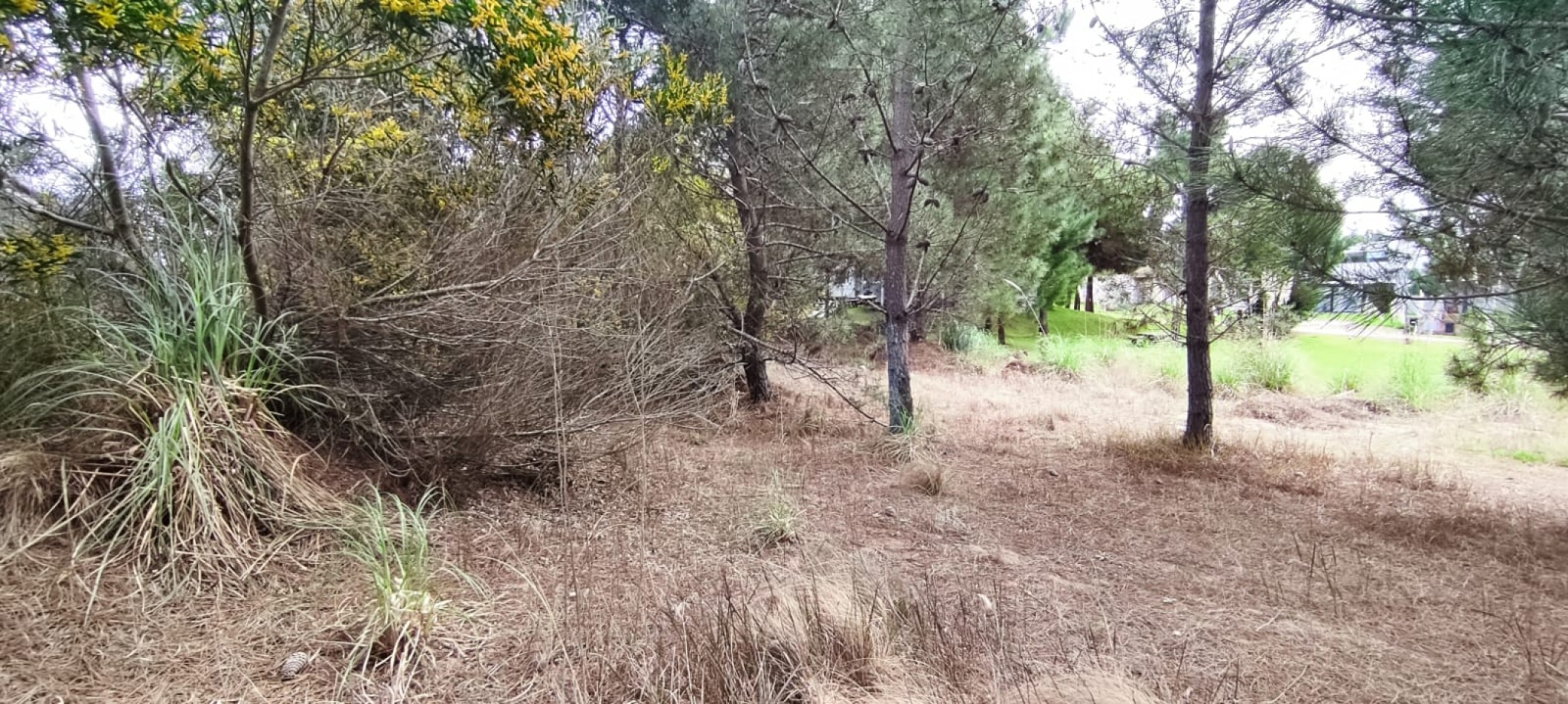 Lote en venta en golf 2 oportunidad financia 