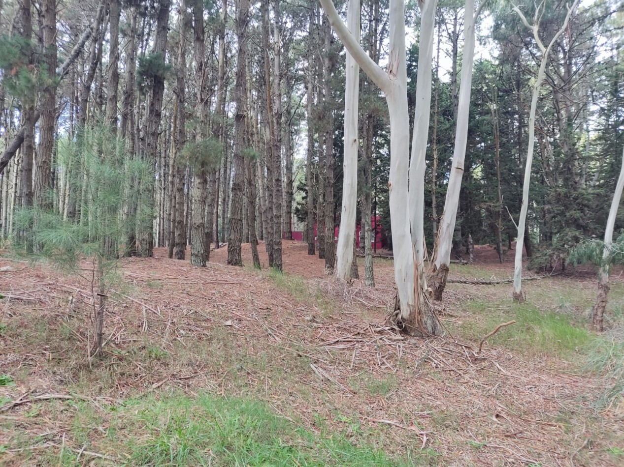 lote barrio Bosque costa Esmeralda