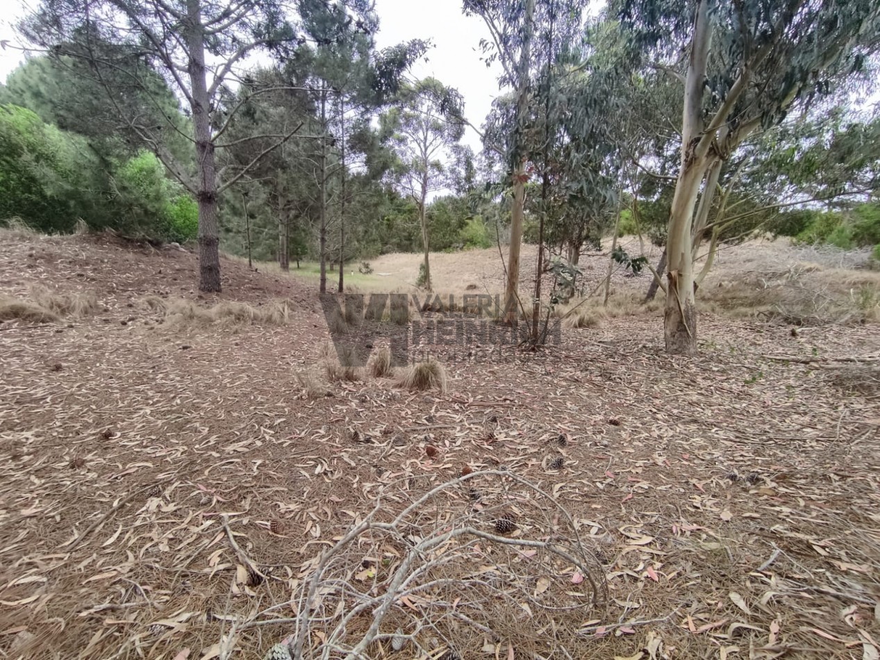 Venta lote Costa Esmeralda Senderos 3 al 300