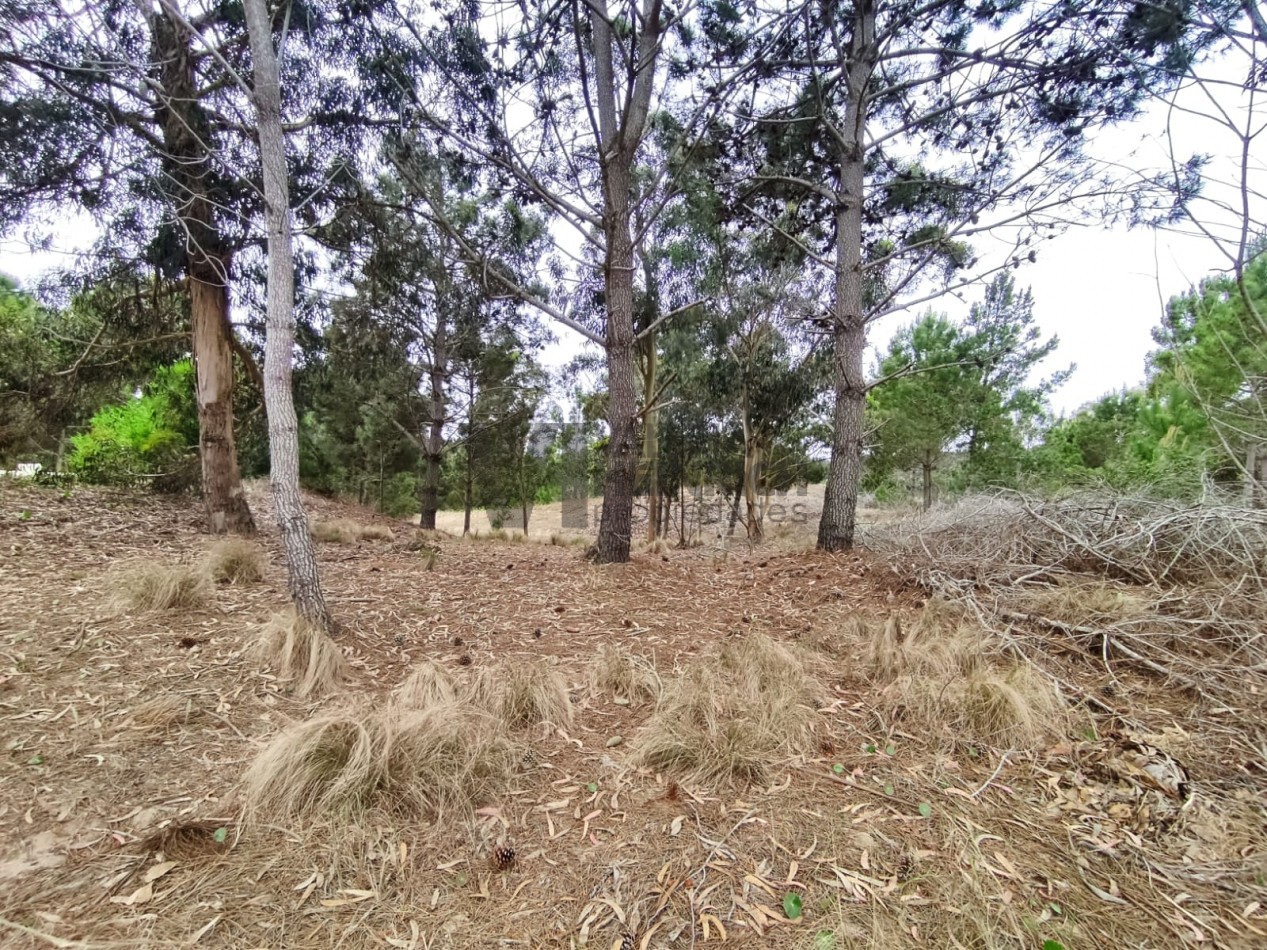 Venta lote Costa Esmeralda Senderos 3 al 300