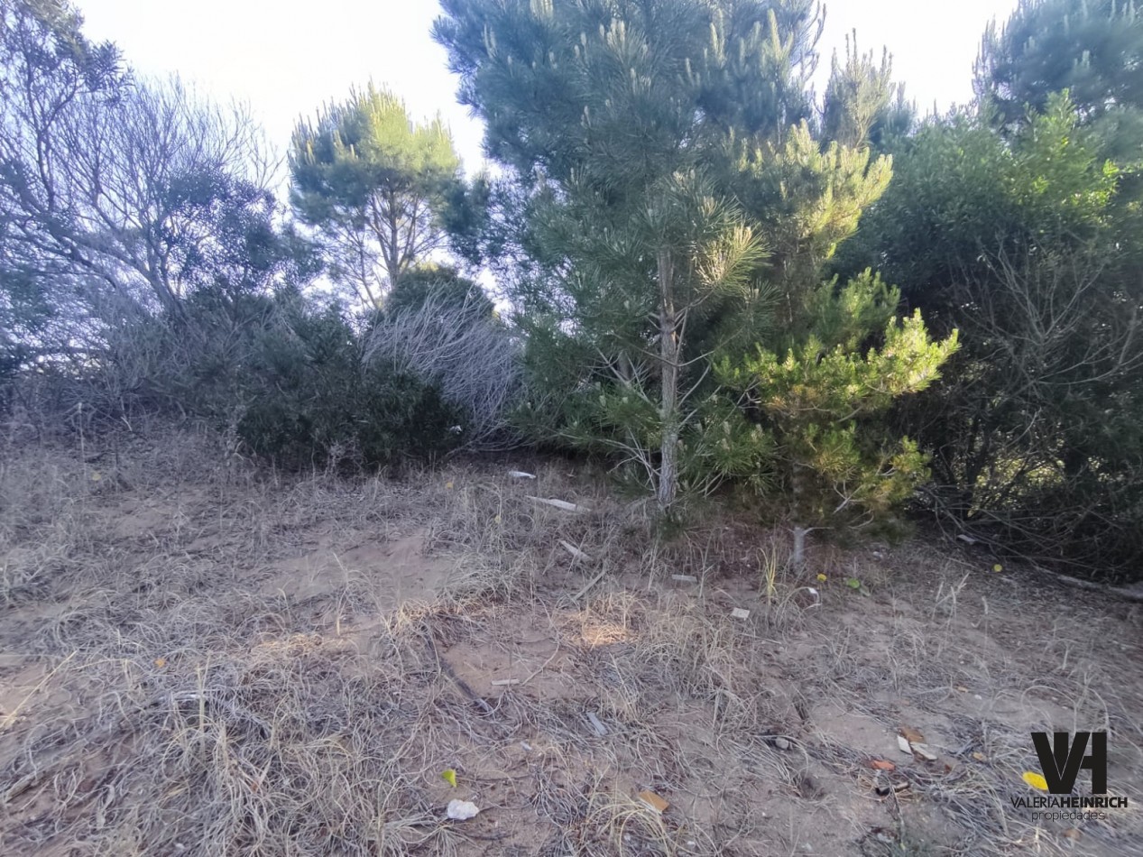 Venta lote Costa Esmeralda Senderos 3 Fondo libre