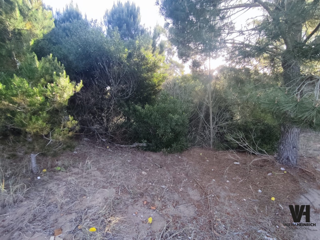 Venta lote Costa Esmeralda Senderos 3 Fondo libre