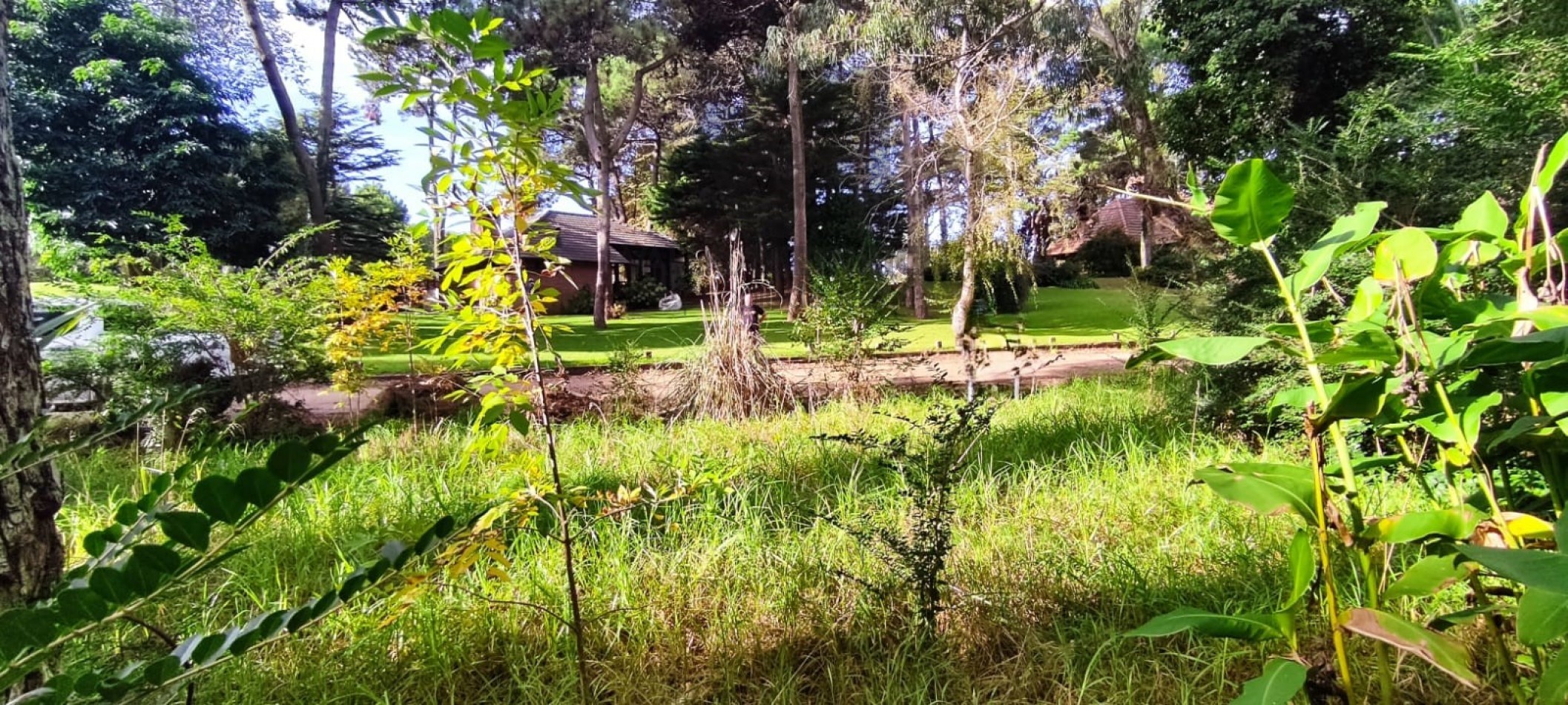 LOTE EN PINAMAR