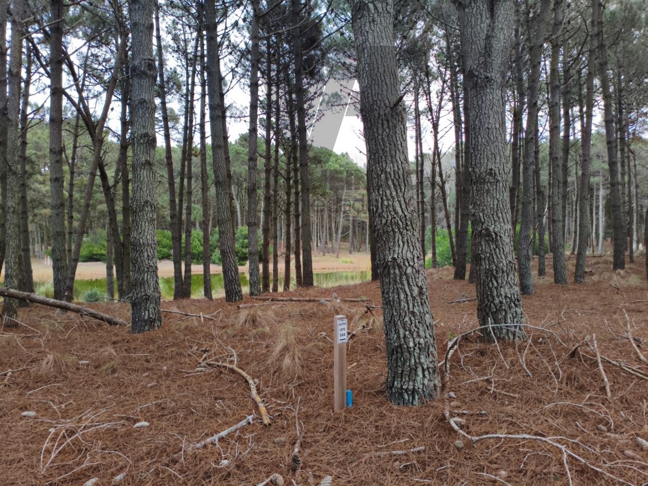 LOTE EN VILLAROBLES