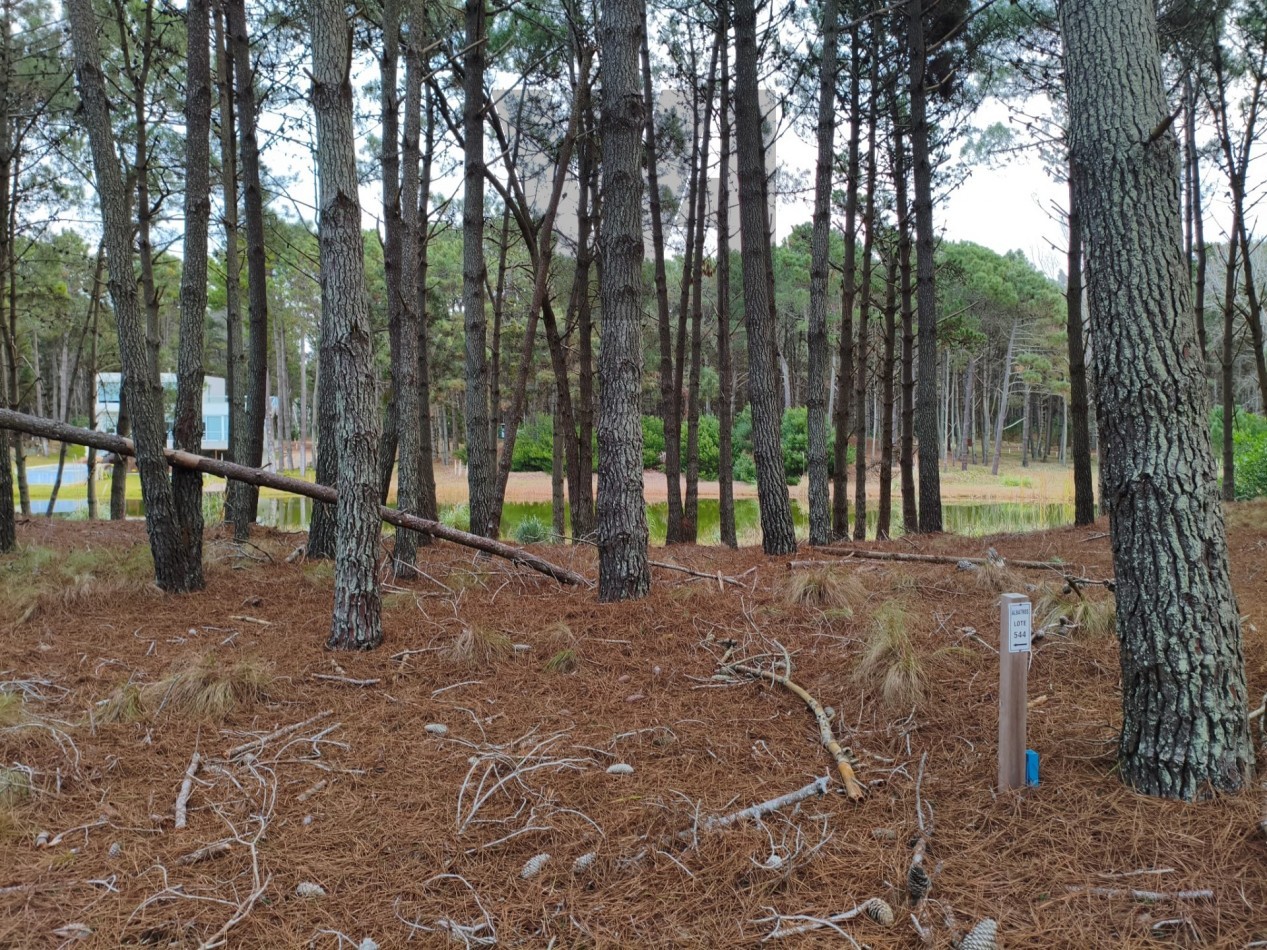 LOTE EN VILLAROBLES