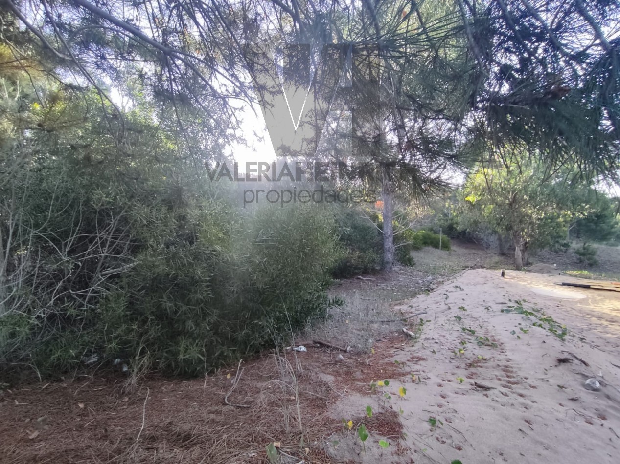 Venta lote Costa Esmeralda Senderos 3 Fondo libre