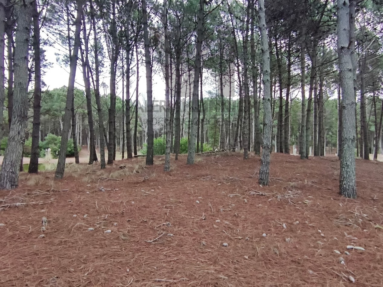 Vendo lote en Villarobles fondo laguna arbolado