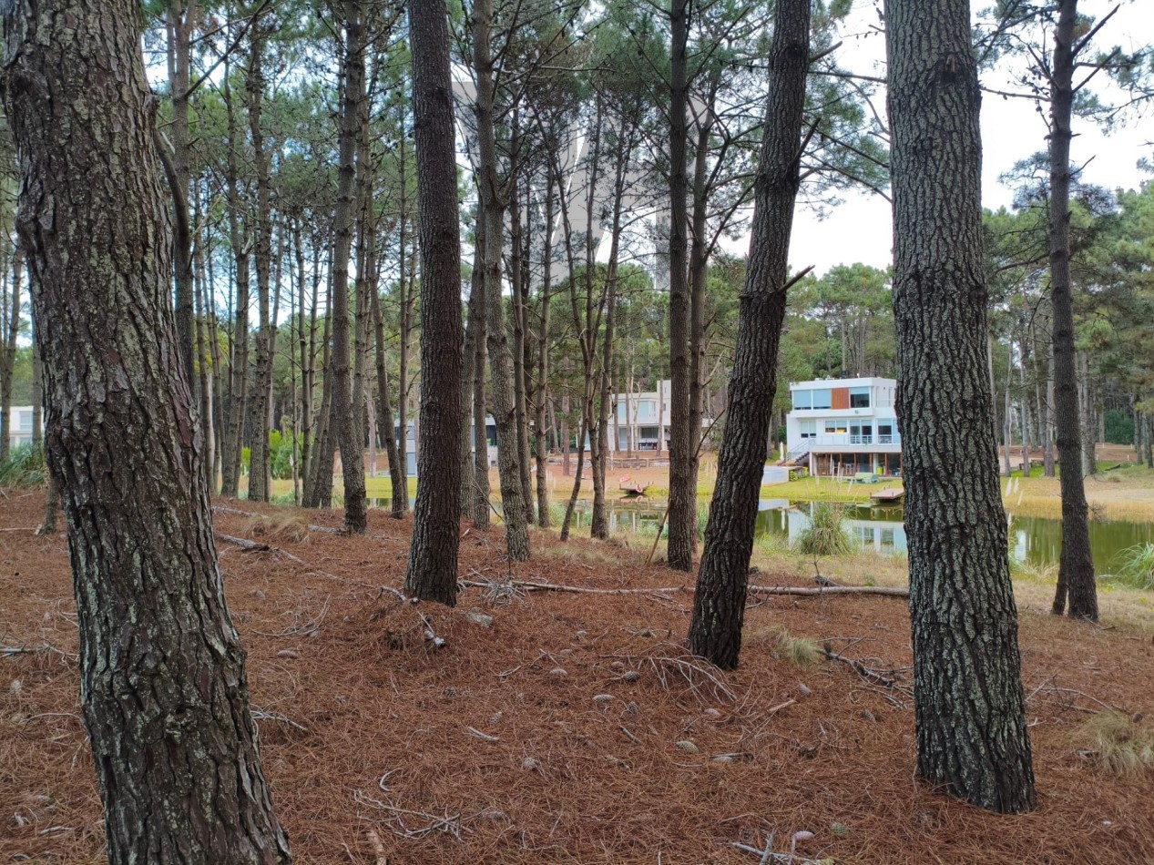 Vendo lote en Villarobles fondo laguna arbolado