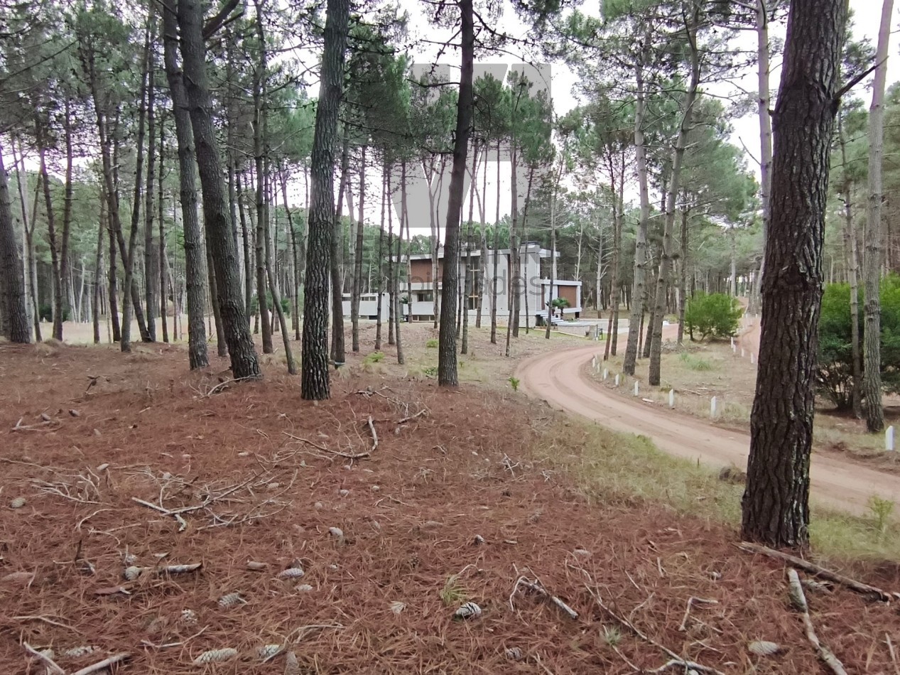Vendo lote en Villarobles fondo laguna arbolado