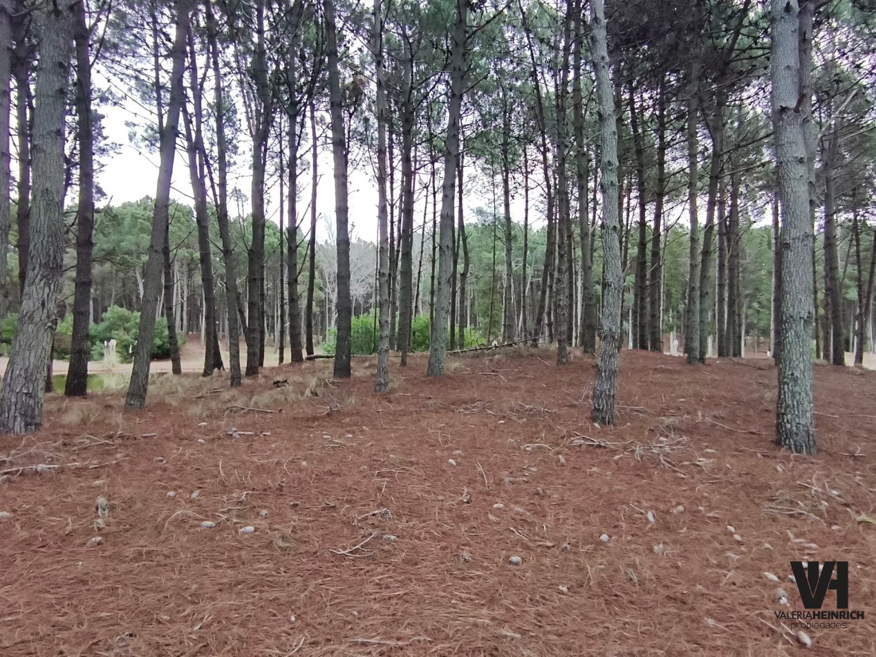 Vendo lote en Villarobles fondo laguna arbolado