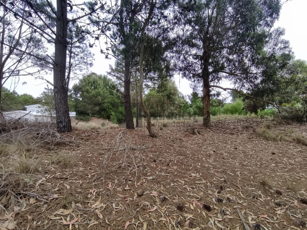 Venta lote Costa Esmeralda Senderos 3 al 300