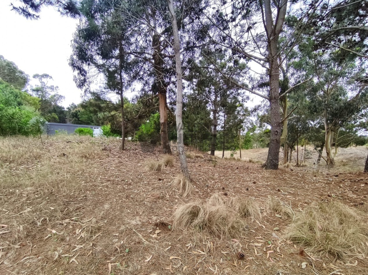 Venta lote Costa Esmeralda Senderos 3 al 300