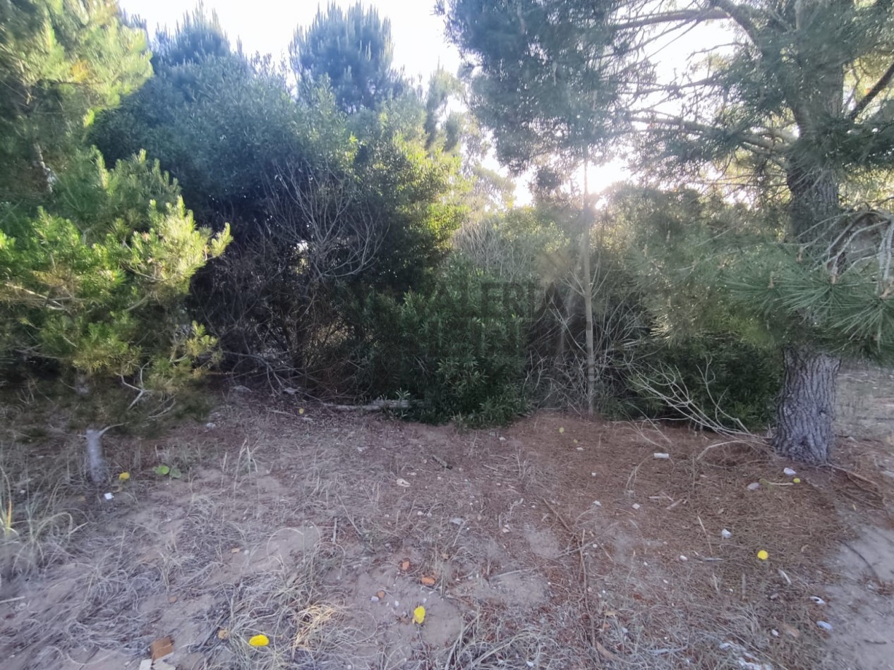 Venta lote Costa Esmeralda Senderos 3 Fondo libre