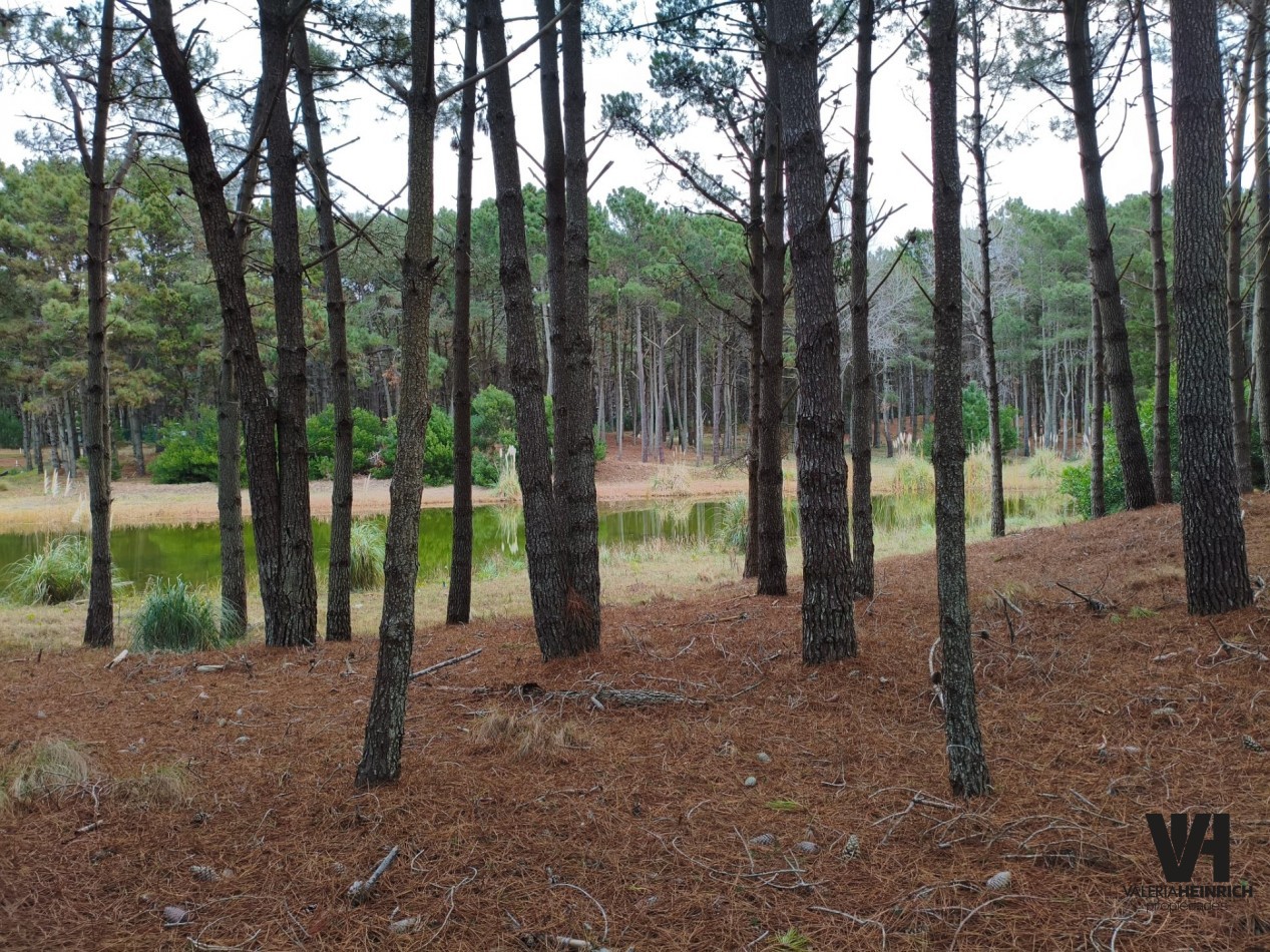 Vendo lote en Villarobles fondo laguna arbolado