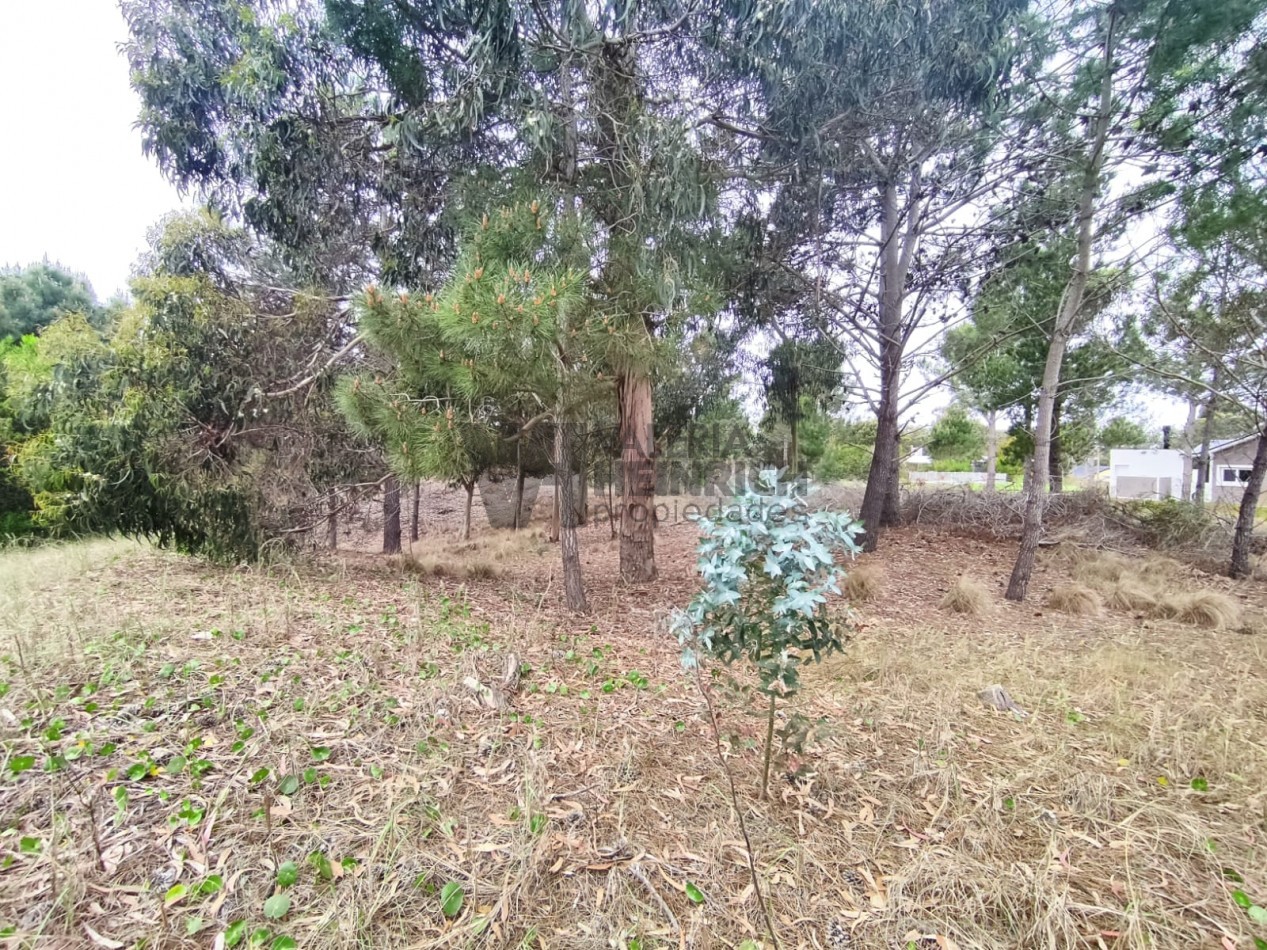 Venta lote Costa Esmeralda Senderos 3 al 300