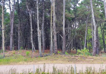 Venta lote Villarobles cerca de Costa Esmeralda