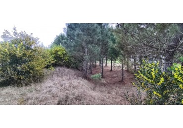 Lote en venta en golf 2 oportunidad financia 