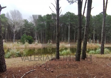 Vendo lote en Villarobles fondo laguna arbolado