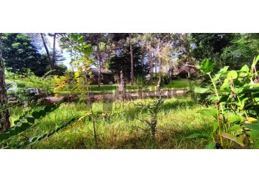 LOTE EN PINAMAR