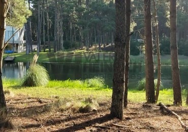 LOTE EN VILLAROBLES